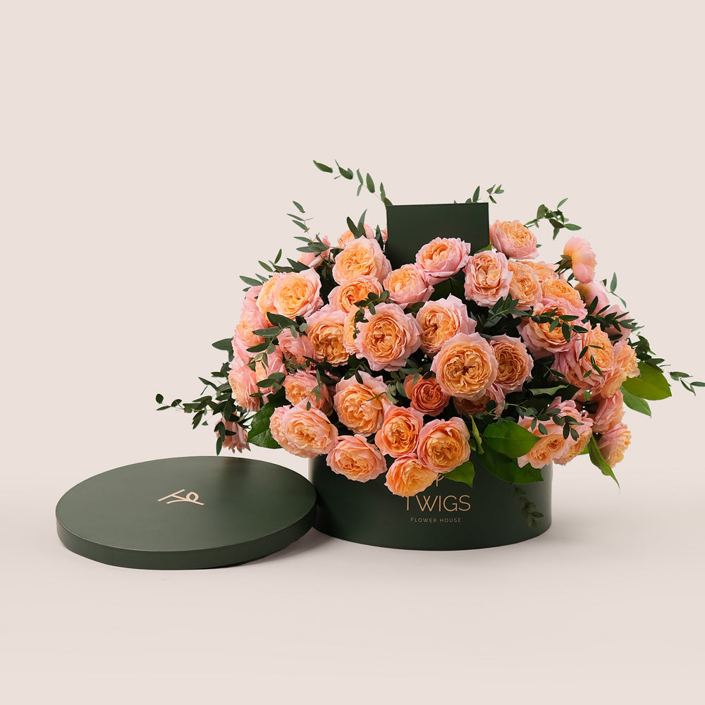 ROUND FLOWER BOX