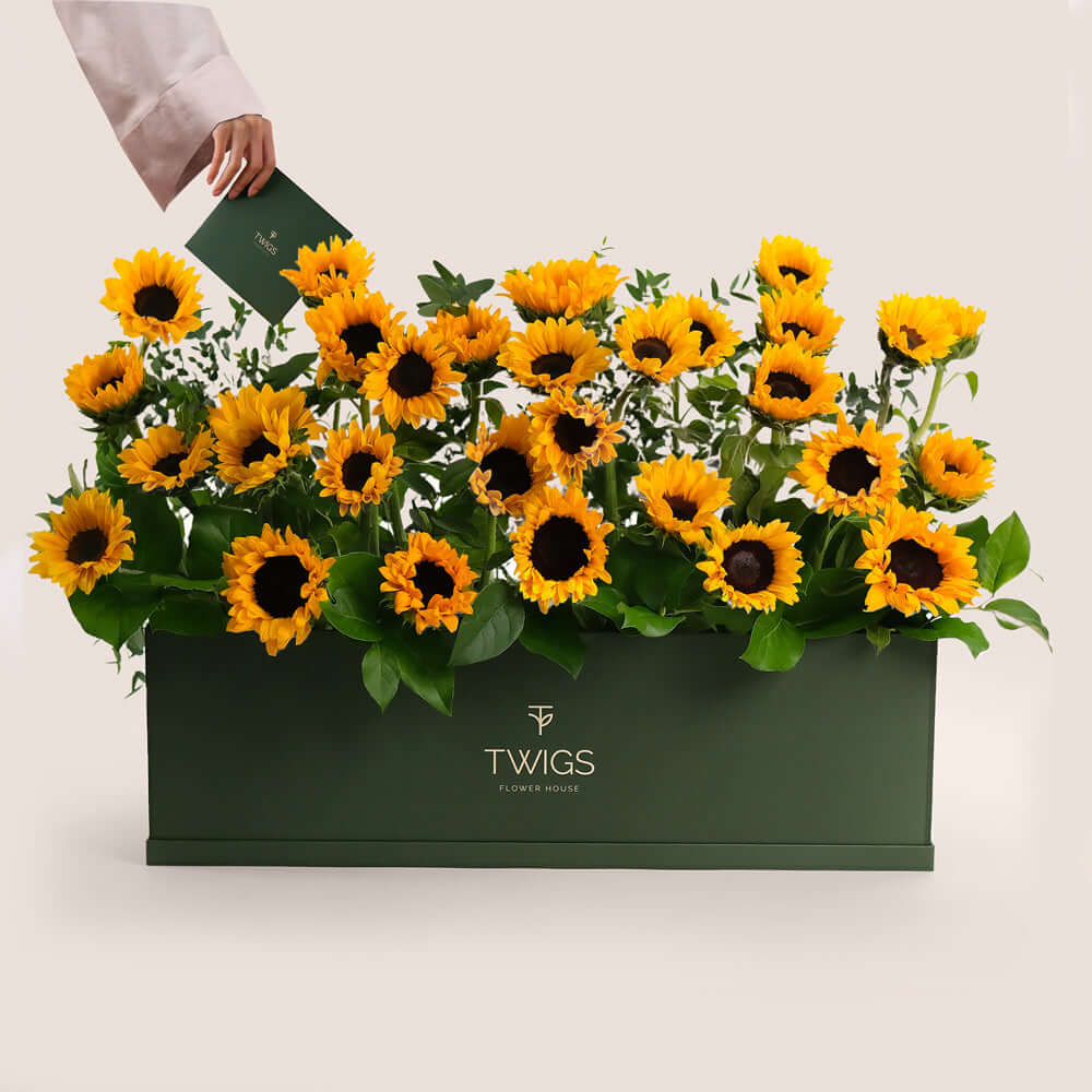 Get Well Soon Flowers | Box of Sunflowers