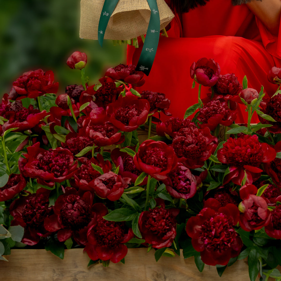 RED Flowers