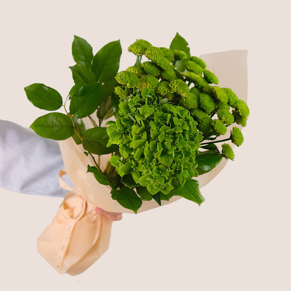 Green Charm – Green Hydrangea & Chrysanthemum Cone Bouquet – A Unique Blend of Elegance and Freshness