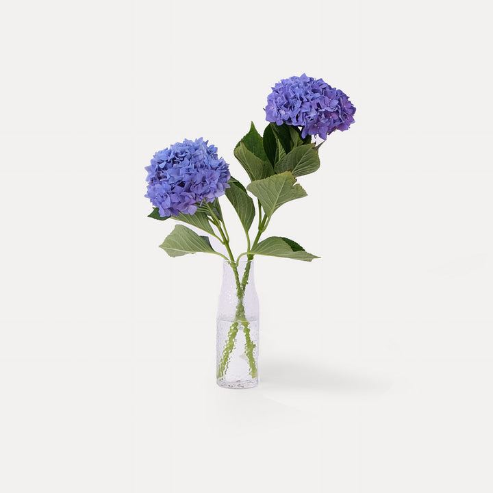 Hydrangeas Purple  Flower Vase Arrangement