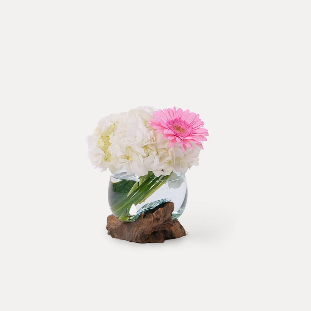 Hydrangea White & Gerbera Vase Arrangement