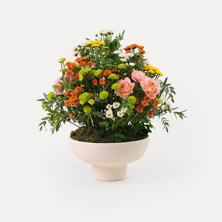 Mini Garden in white ceramic vase