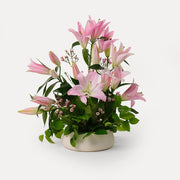 Pink lily Flower arrangement in ceramic vase