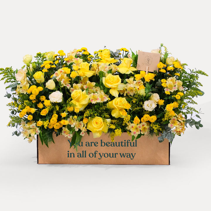 Yellow Flowers Mix In Garden Box