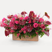 Premium Red Flowers Garden Box