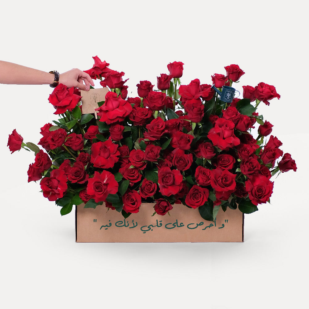 Premium Red Rose Garden Box