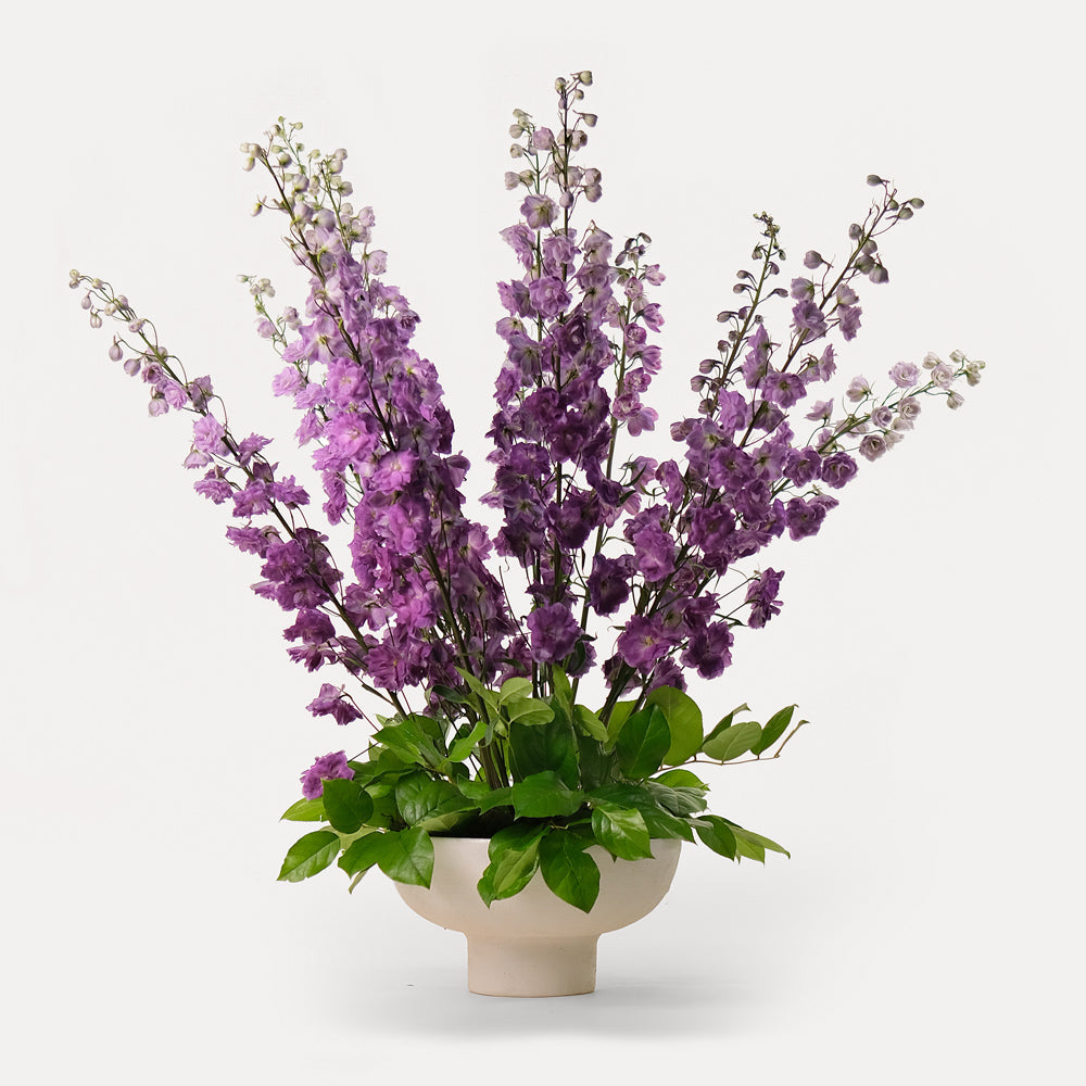 Purple Delphinium Flower arrangement in white ceramic vase