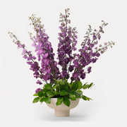 Purple Delphinium Flower arrangement in white ceramic vase