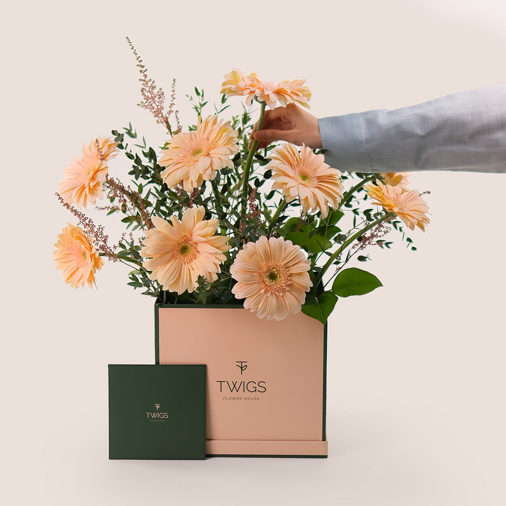 Peach Bliss – Gerbera, Astilbe & Balloons Bundle – A Sophisticated Celebration of Soft Elegance and Festivity