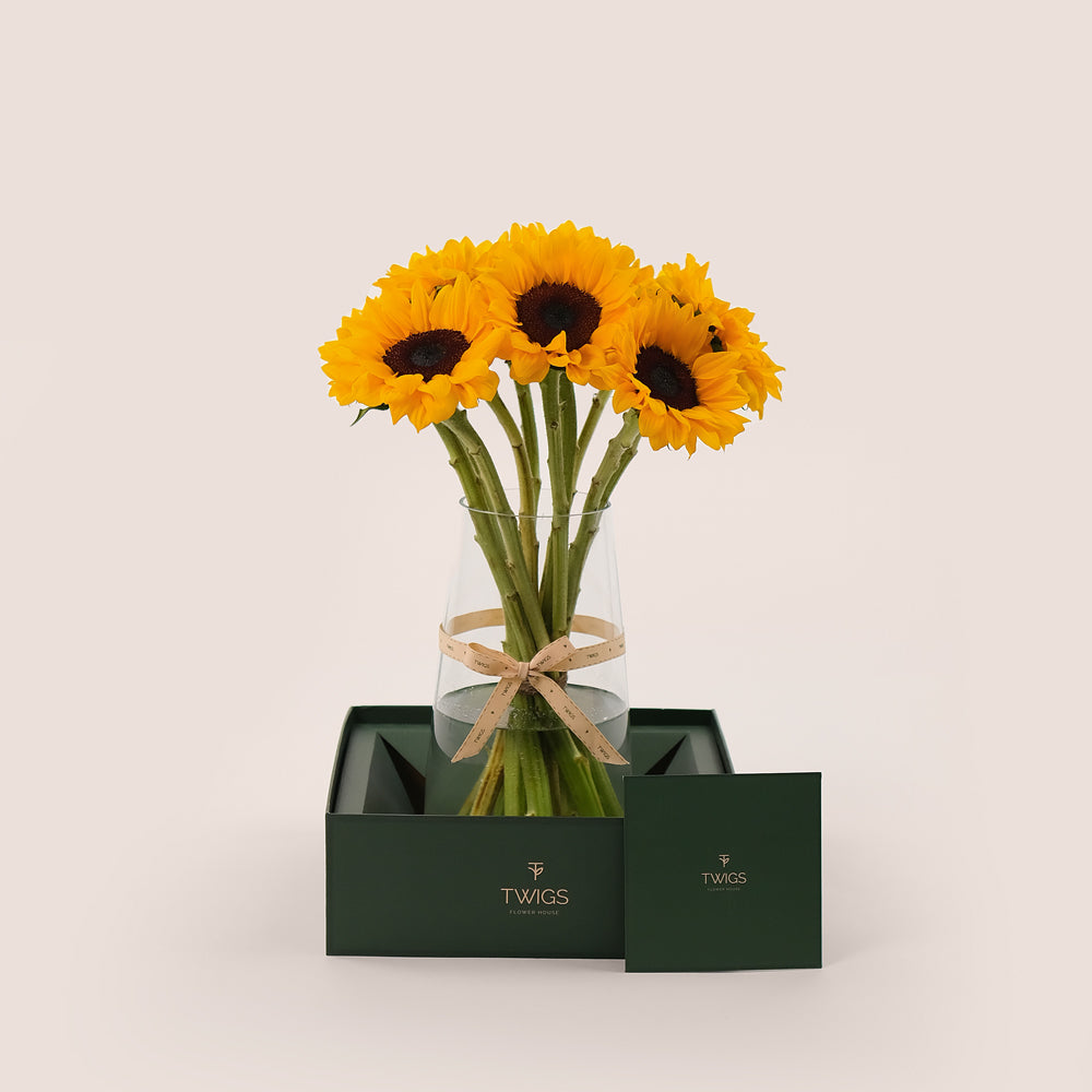 Grande Sunshine – A Bold and Bright Display of Sunflowers