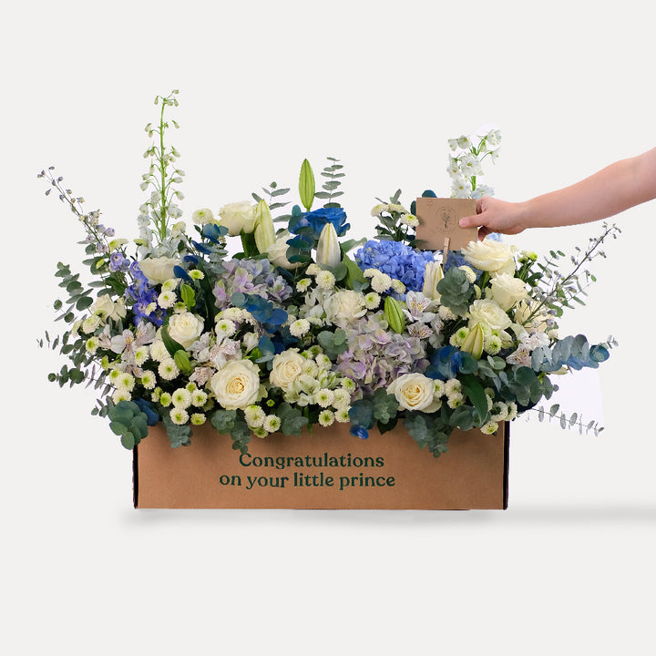 TWIGS ULTRAMARINE  GARDEN BOX