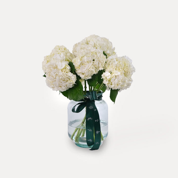 Hydrangea White Vase Arrangement