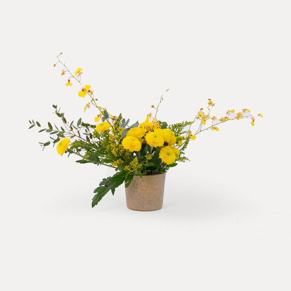 Chrysanthemums with Dancing Lady and Solidago Flowers in Vase