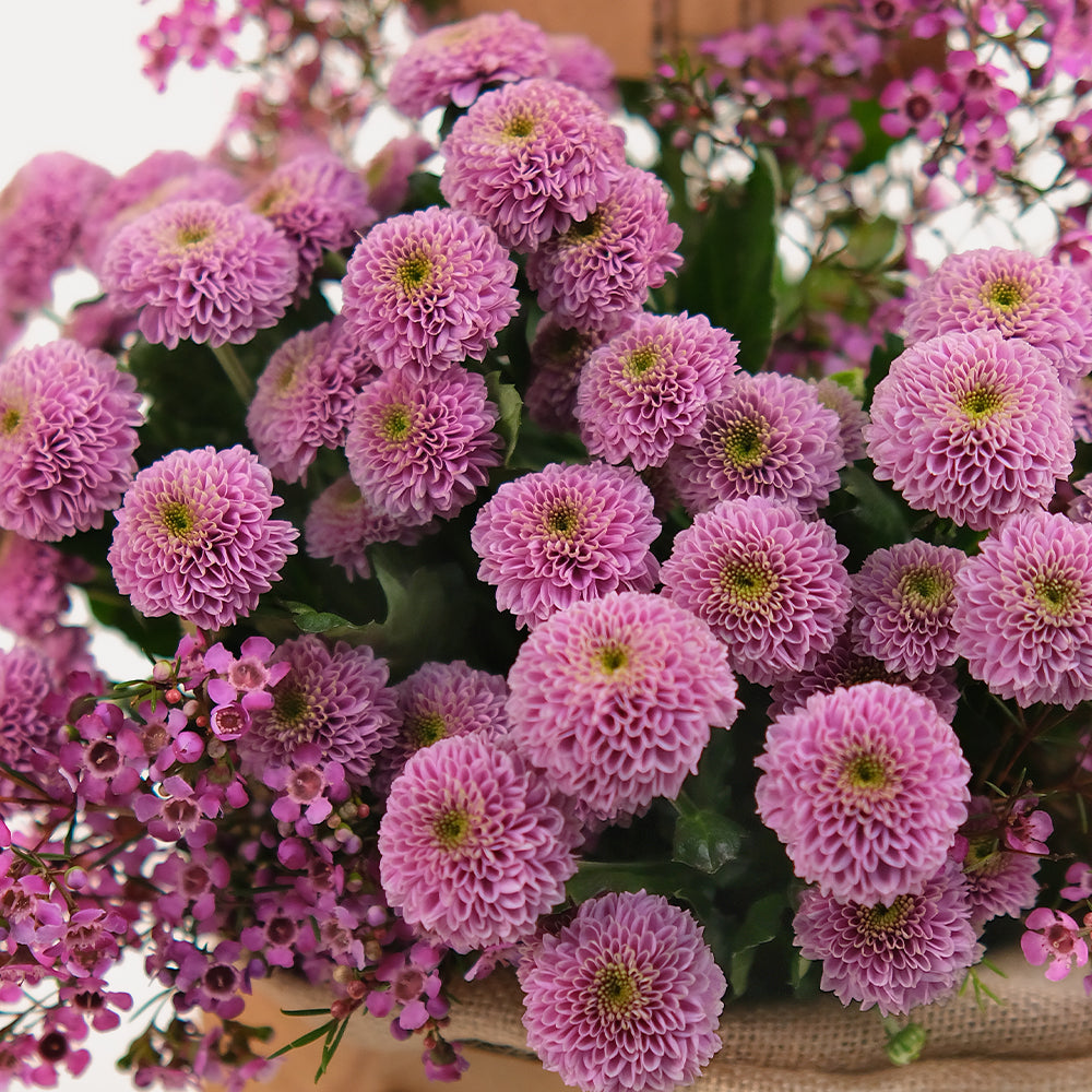 Happy Birthday Flowers and Cake tray combo Purple