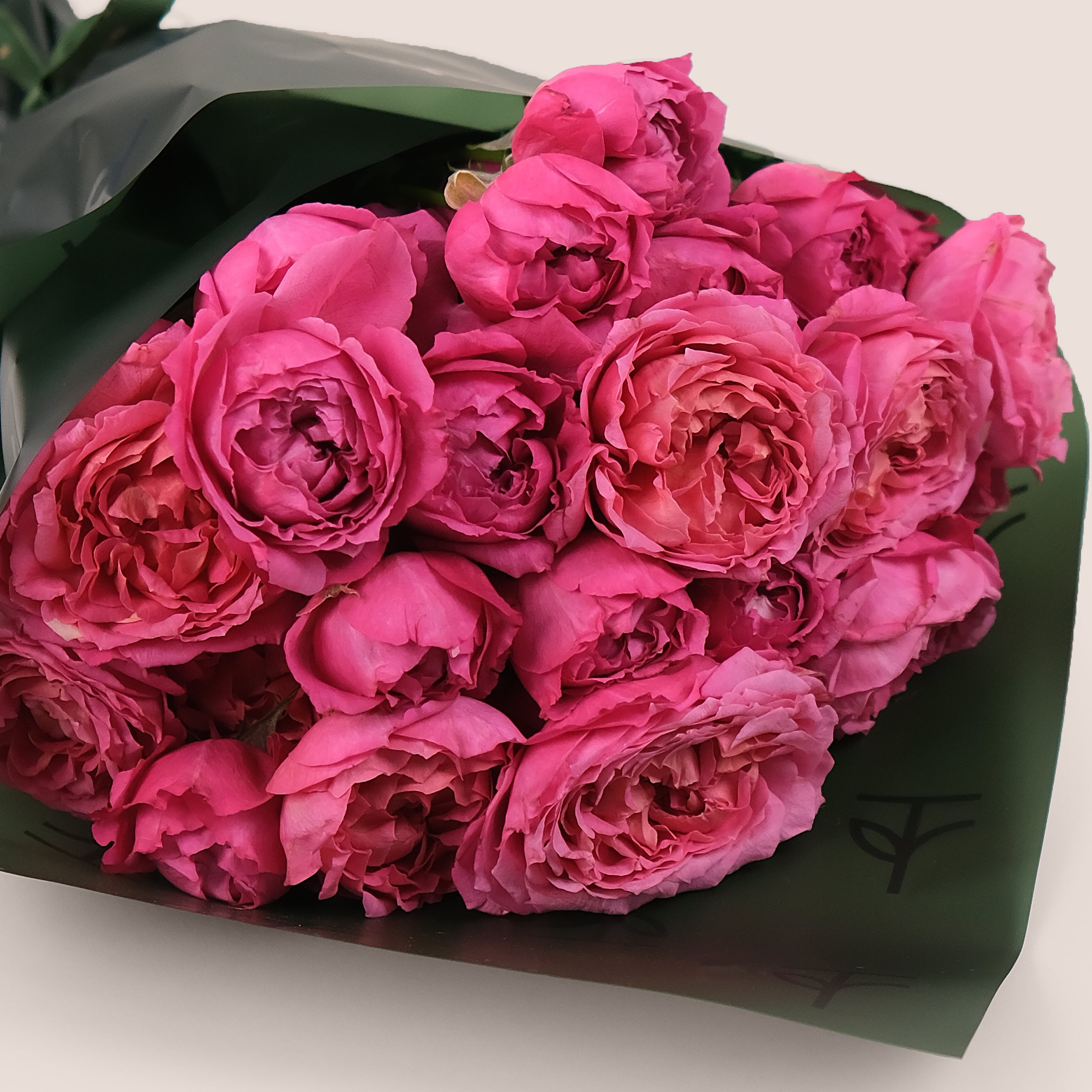 Fuchsia Passion – Julieta Roses Cone Bouquet – A Bold and Luxurious Floral Statement