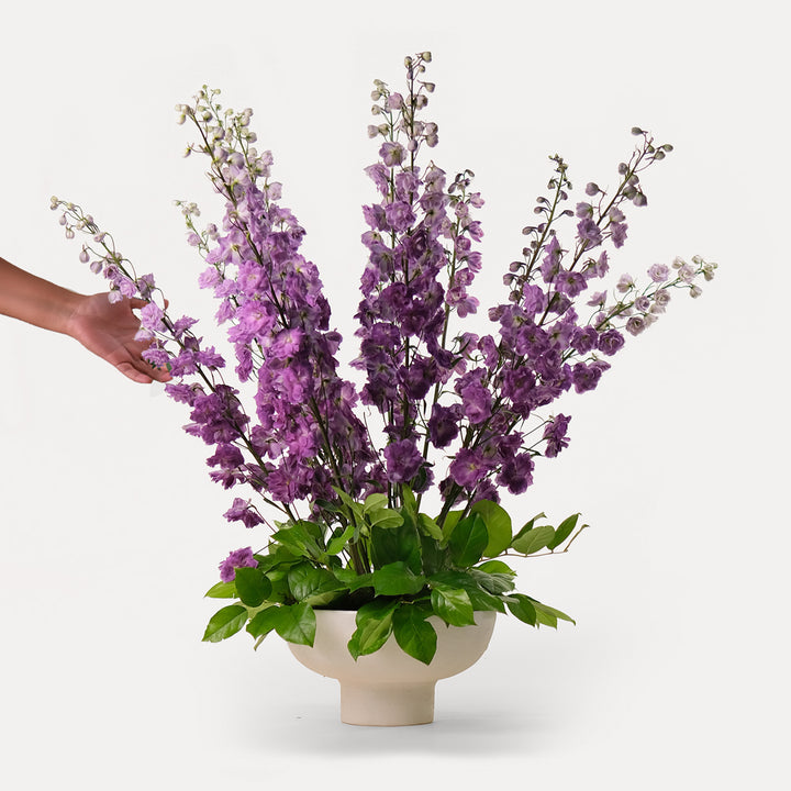 Purple Delphinium Flower arrangement in white ceramic vase