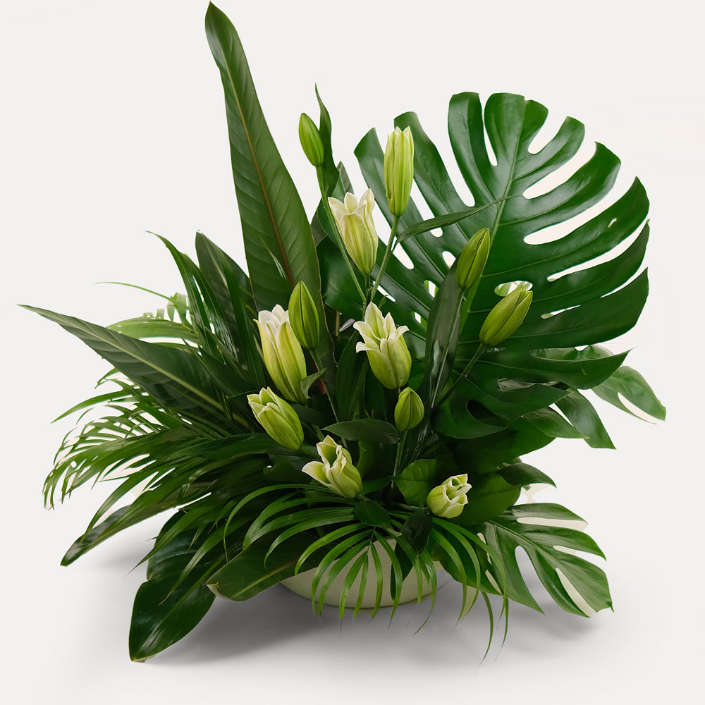 Monstera with lily flower vase arrangement