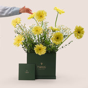 Sunny Delight – Yellow Gerbera & Chamomile Flower Box – A Cheerful and Elegant Floral Gift