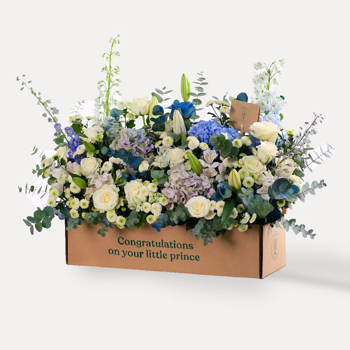 TWIGS ULTRAMARINE  GARDEN BOX