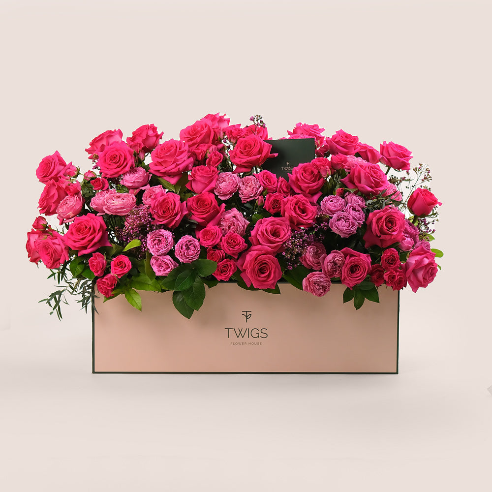 Premium Garden Box – Fuchsia Flower Mix– A Vibrant Floral Symphony