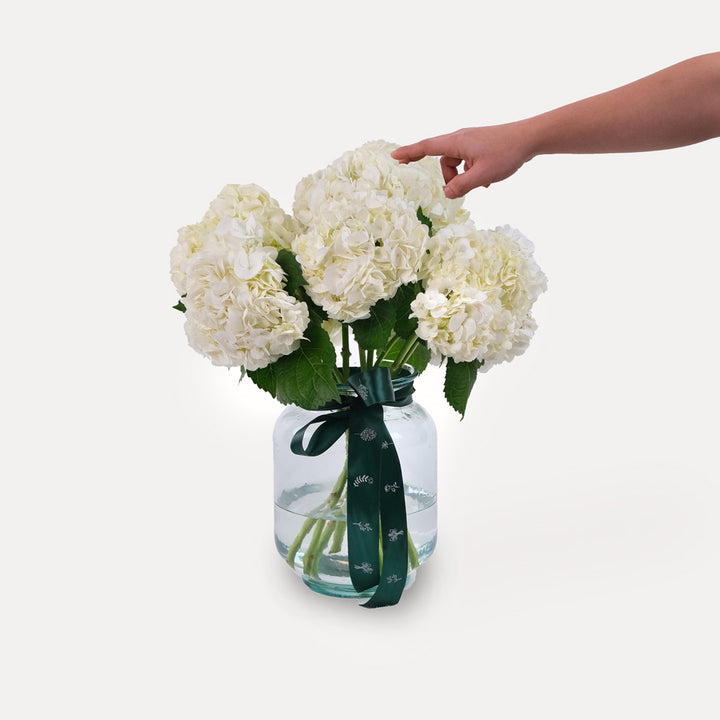 Hydrangea White Vase Arrangement