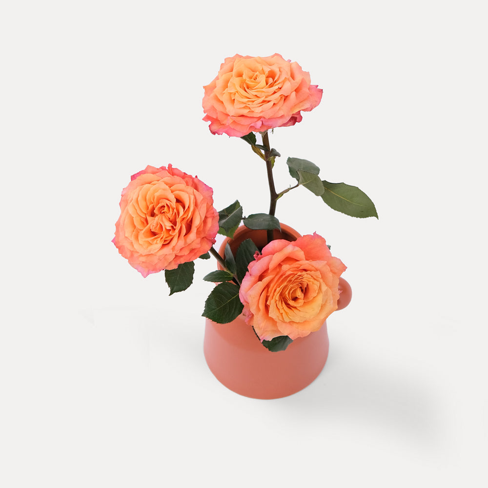 Roses Orange in Clay Vase Arrangement