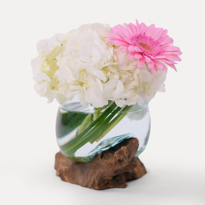 Hydrangea White & Gerbera Vase Arrangement