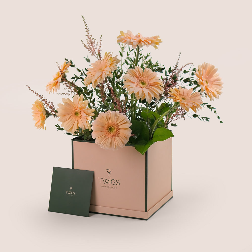 Peach Serenity – Gerbera & Astilbe Cube Box – A Subtle and Elegant Floral Masterpiece