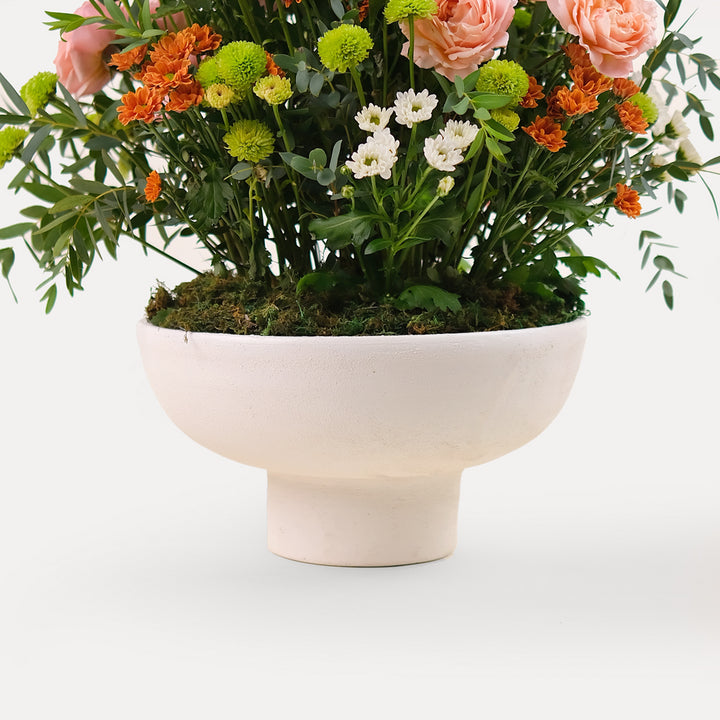 Mini Garden in white ceramic vase