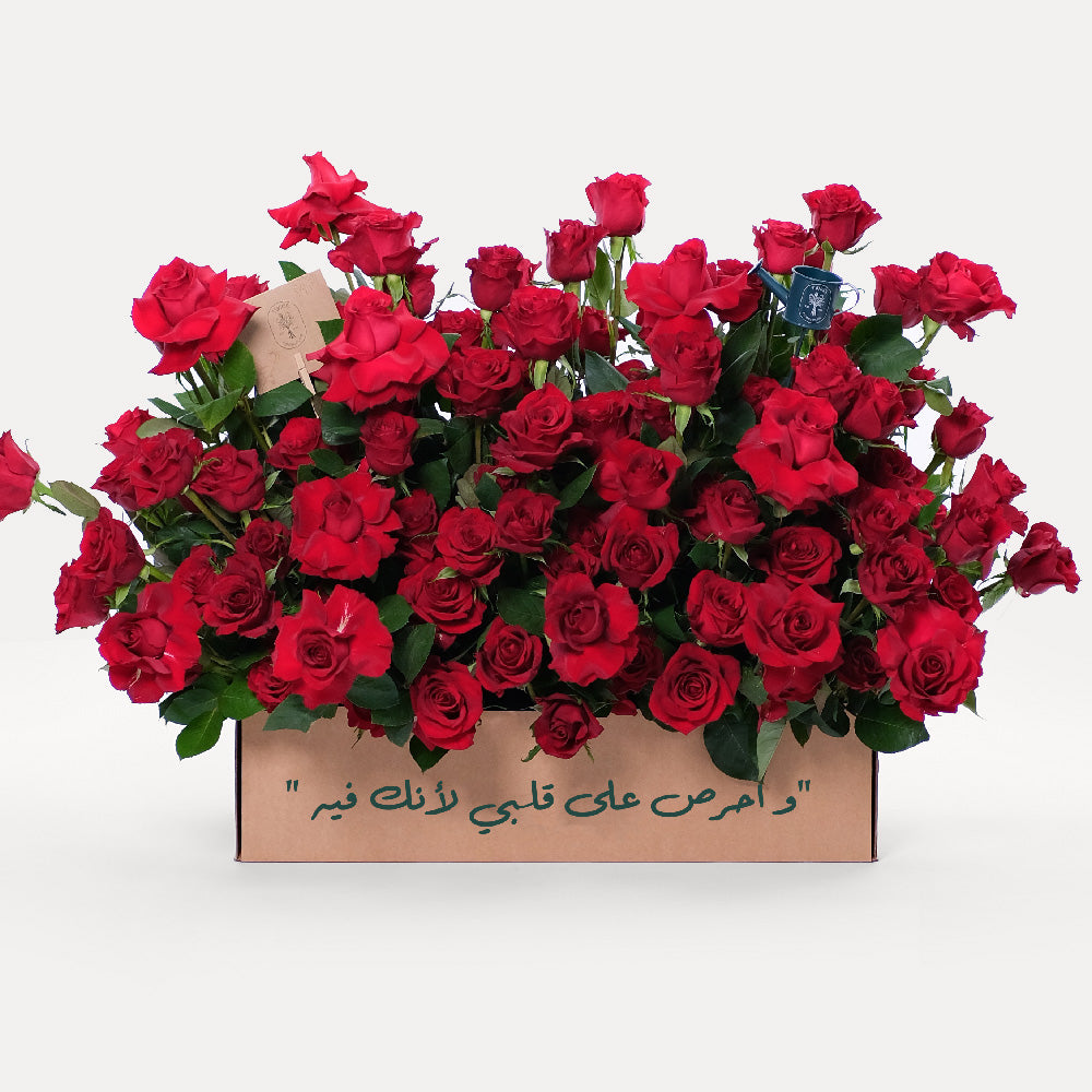 Premium Red Rose Garden Box