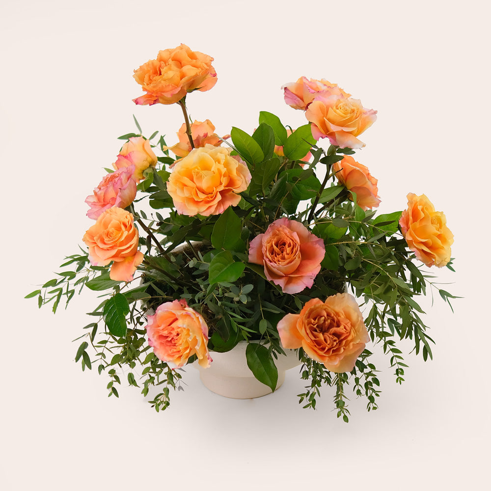 Amber Queen Flower arrangement In White ceramic Vase