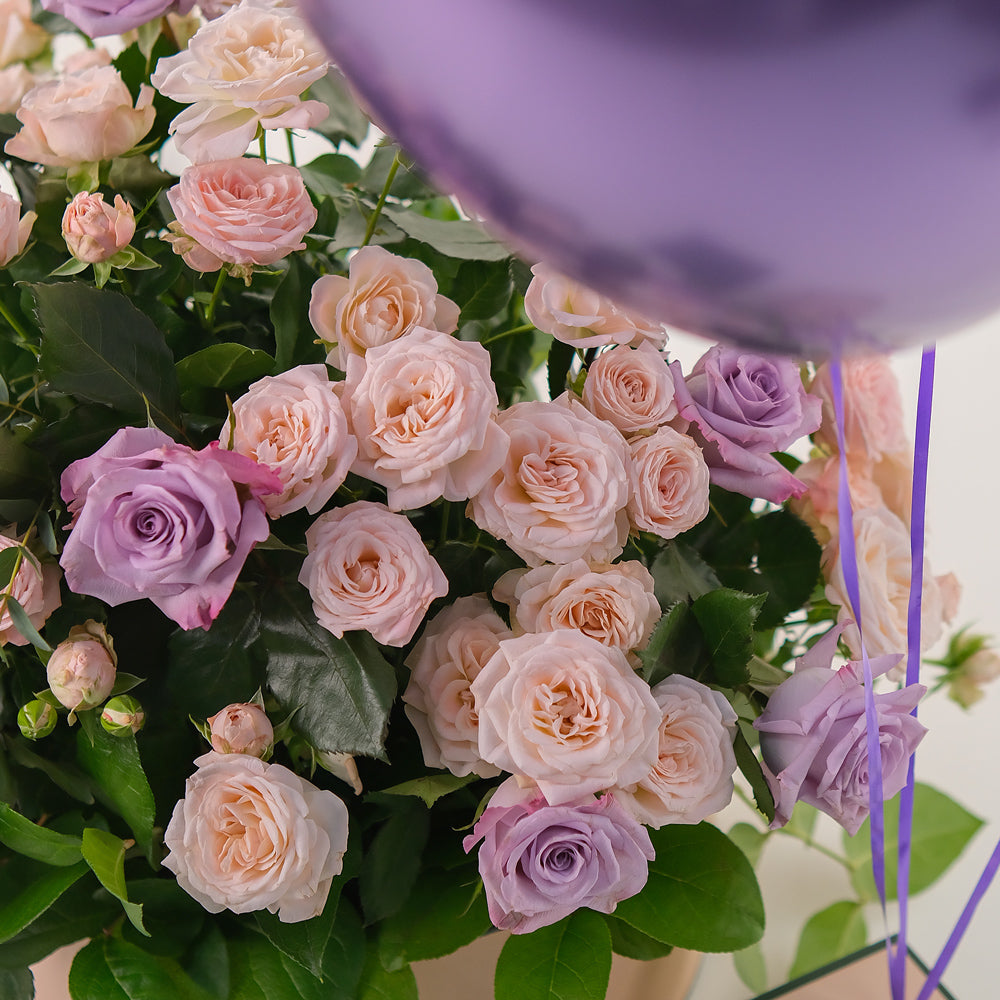 Elegant Lavender Delight Grande Round Box – Roses & Balloons Bundle - A Perfect Gifting Experience for Every Occasion