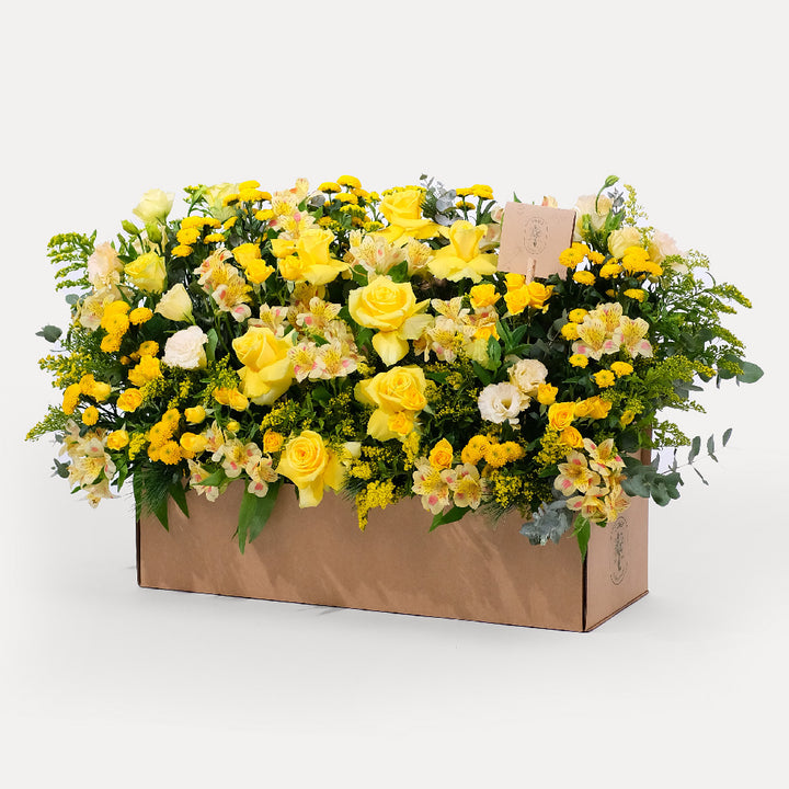 Yellow Flowers Mix In Garden Box