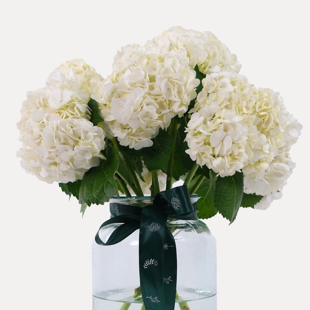 Hydrangea White Vase Arrangement