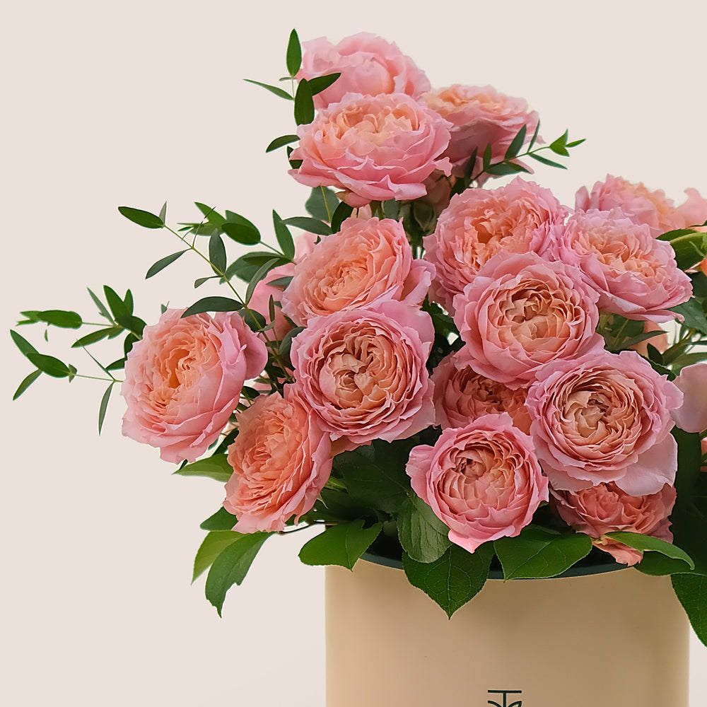 Juliet Peach Spray Roses in TWIGS Deluxe Round Flower Box – Soft Elegance in a Luxury Gift Box