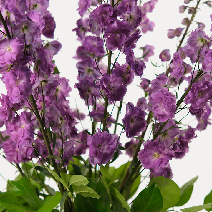 Purple Delphinium Flower arrangement in white ceramic vase