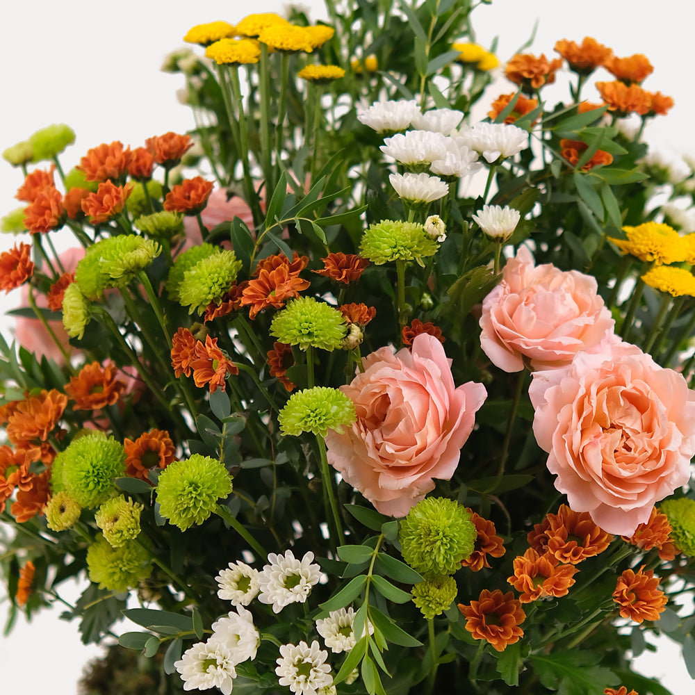 Mini Garden in white ceramic vase