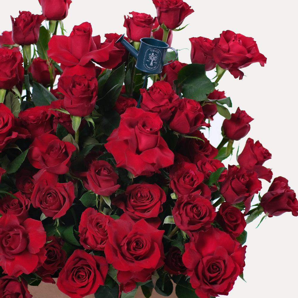 Planter Box Red Roses Premium Red Rose Garden Box – TWIGS