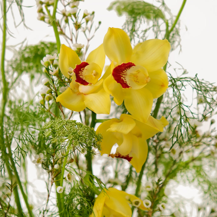 Special Orchid Flower arrangement in ceramic vase