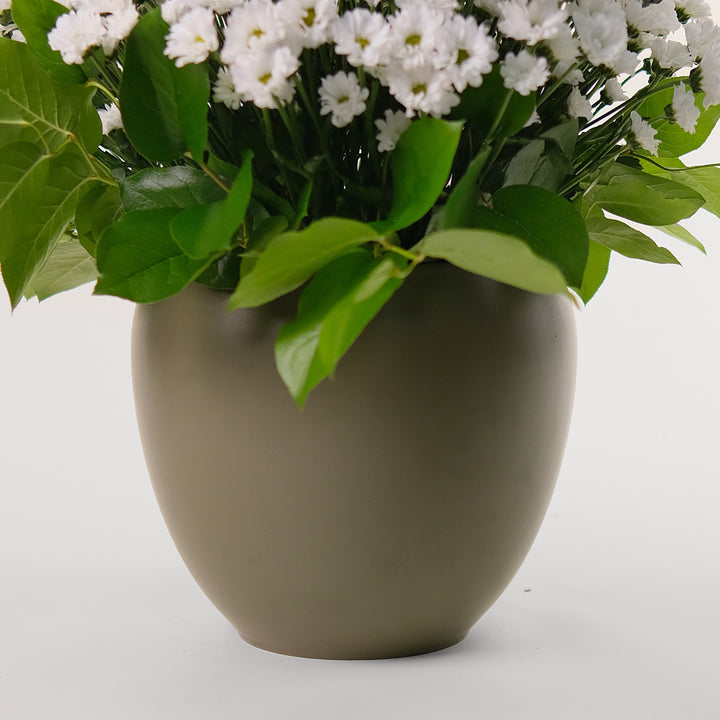 Chrysanthemums Santini White Flower Arrangement – Classic Beauty in an Olive Green Vase