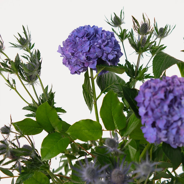 Purple Hydrangea Flower Arrangement In ceramic vase