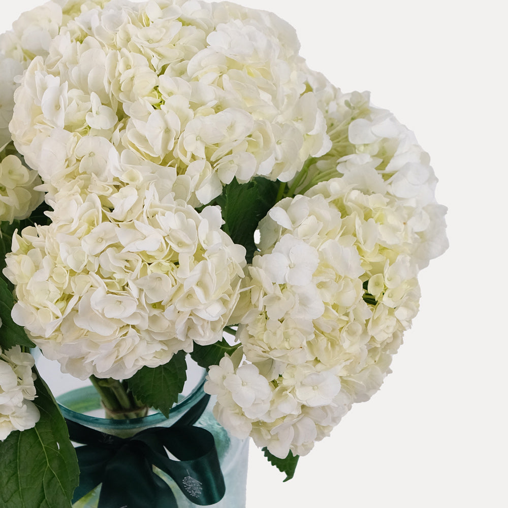 Hydrangea White Vase Arrangement