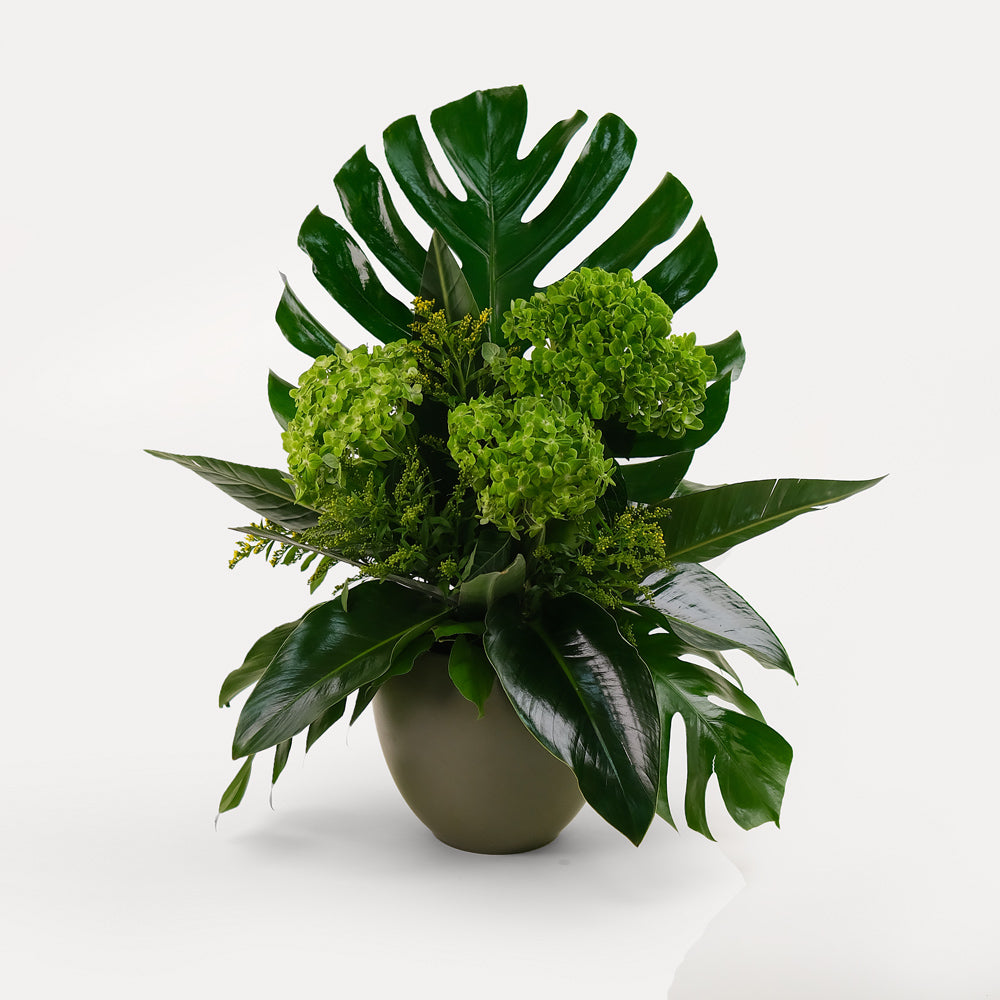 Green hydrangea flower arrangement with Monstera swiss cheese leaves and palm leaves