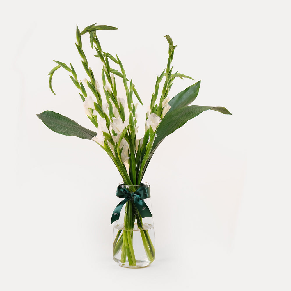 GLADIOLUS WHITE  FLOWER ARRANGEMENT IN VASE