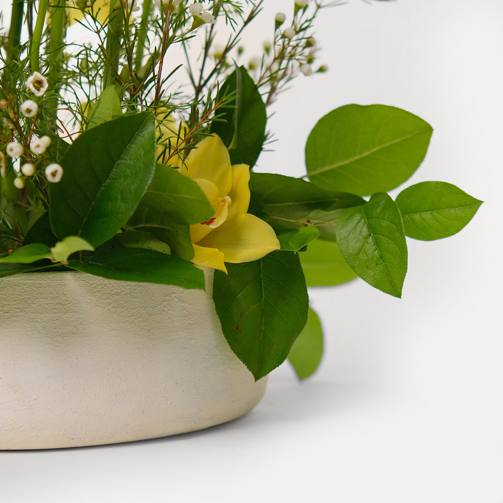 Special Orchid Flower arrangement in ceramic vase