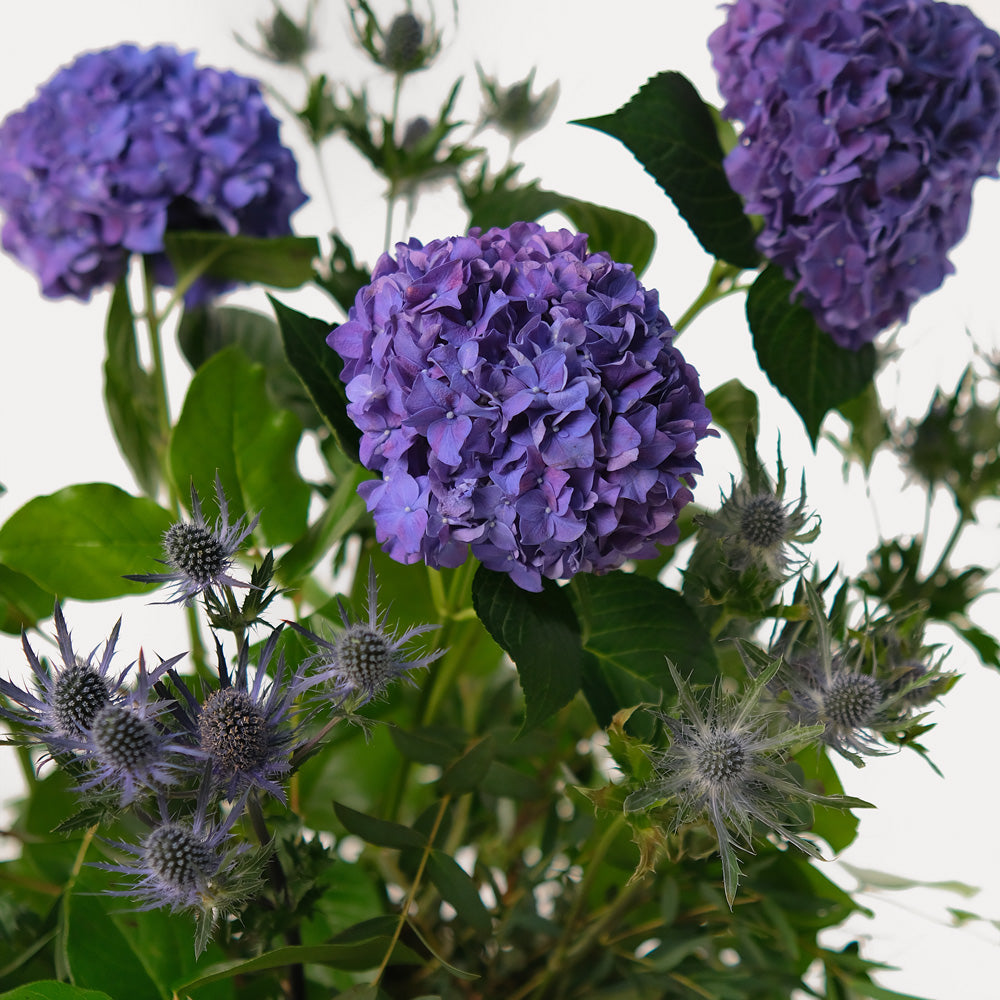 Purple Hydrangea Flower Arrangement In ceramic vase