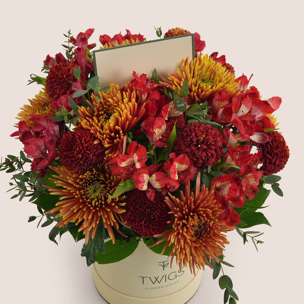 Eid flower arrangement with saffina chrysanthemums, burgundy ping pong chrysanthemums and red alstroemerias in TWIGS deluxe round box Dubai