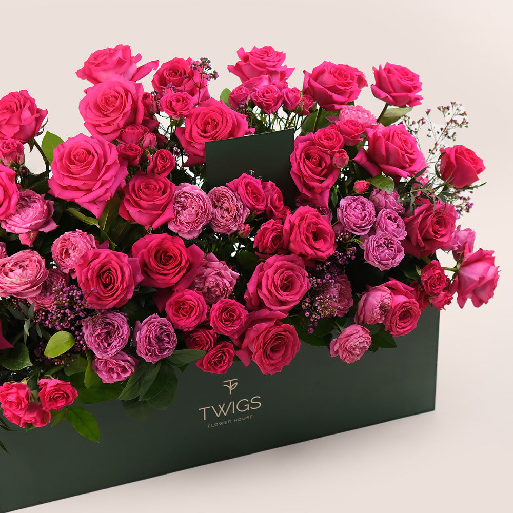 Premium Garden Box – Fuchsia Flower Mix– A Vibrant Floral Symphony