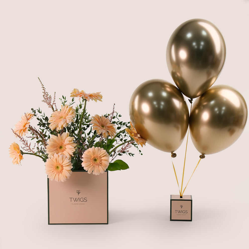 Peach Bliss – Gerbera, Astilbe & Balloons Bundle – A Sophisticated Celebration of Soft Elegance and Festivity